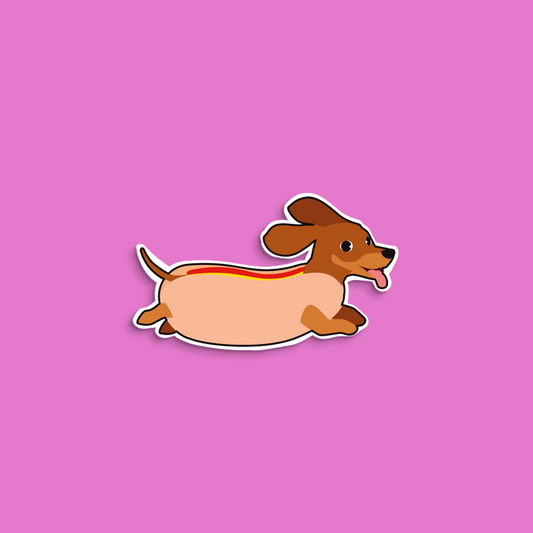 Perro Salchicha